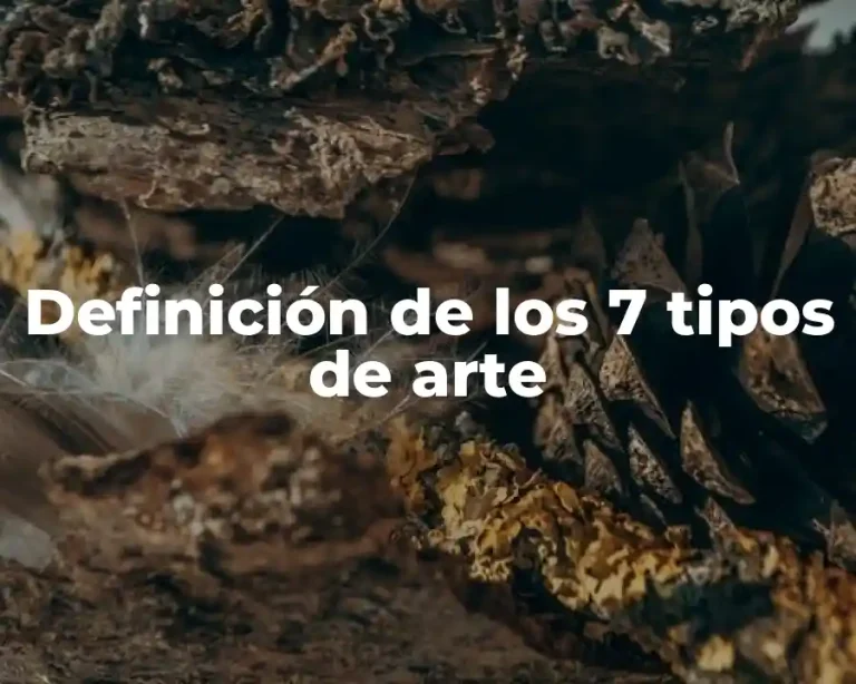 Definición de los 7 tipos de arte