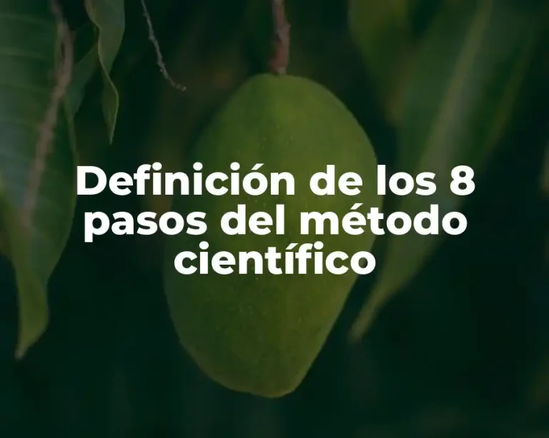 Definición de los 8 pasos del método científico