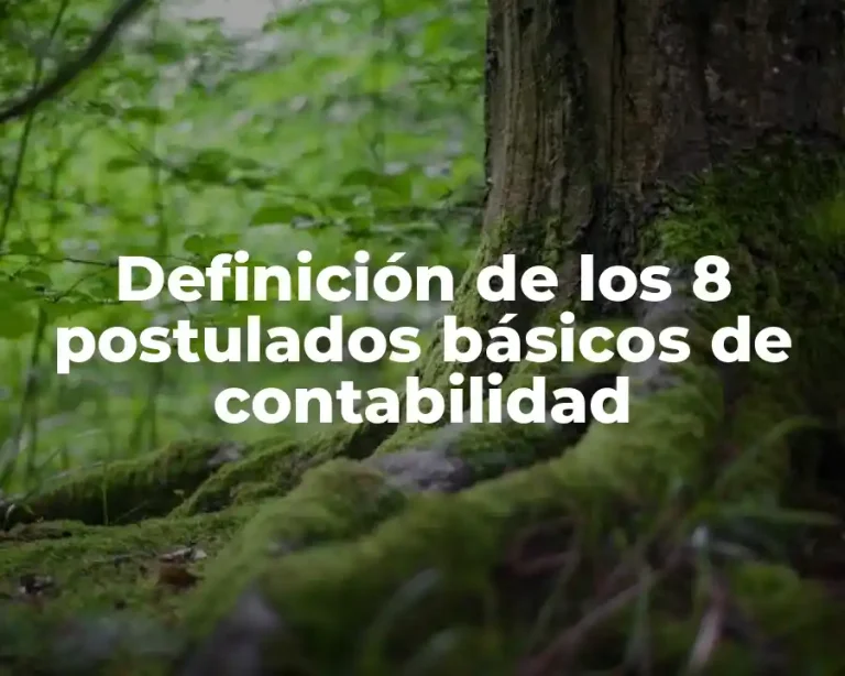 Definición de los 8 postulados básicos de contabilidad