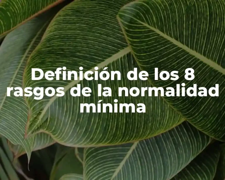 Definición de los 8 rasgos de la normalidad mínima