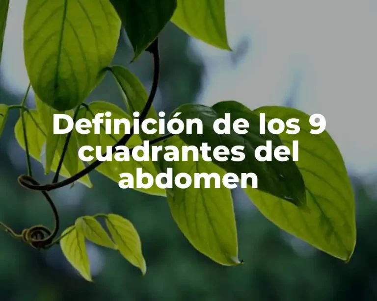 Definición de los 9 cuadrantes del abdomen