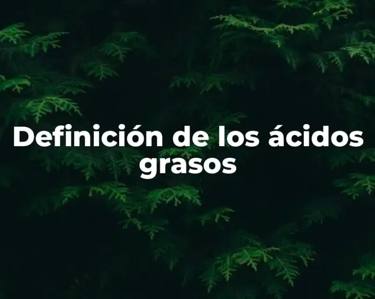 Definición de los ácidos grasos