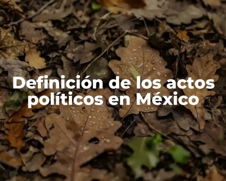 Definición de los actos políticos en México