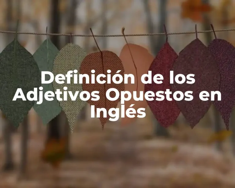 Definición de los Adjetivos Opuestos en Inglés