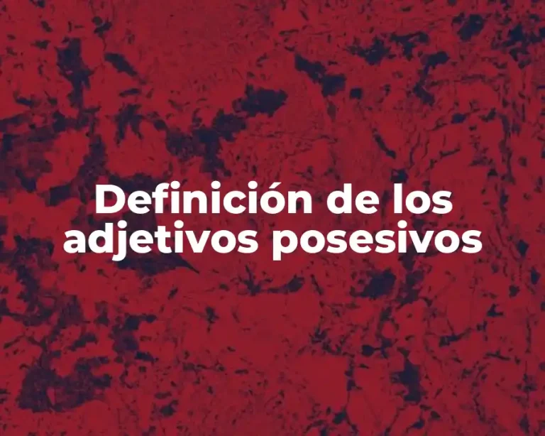 Definición de los adjetivos posesivos