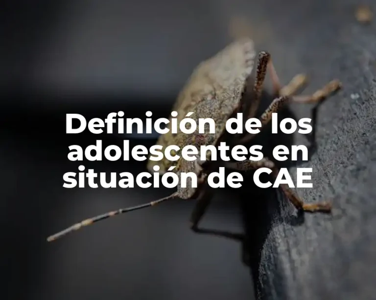 Definición de los adolescentes en situación de CAE