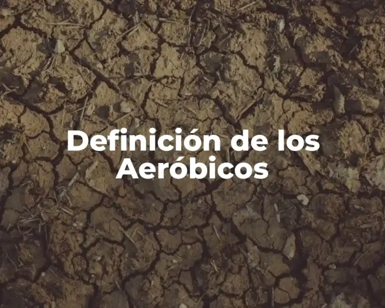 Definición de los Aeróbicos