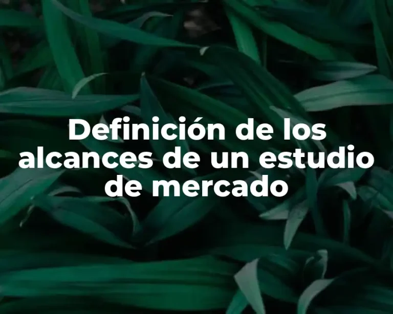 Definición de los alcances de un estudio de mercado