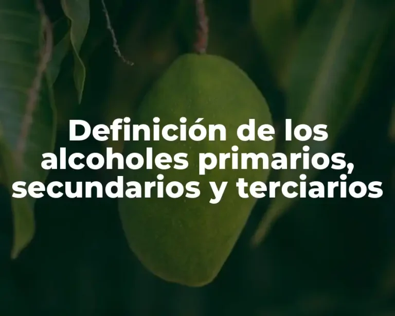 Definición de los alcoholes primarios, secundarios y terciarios