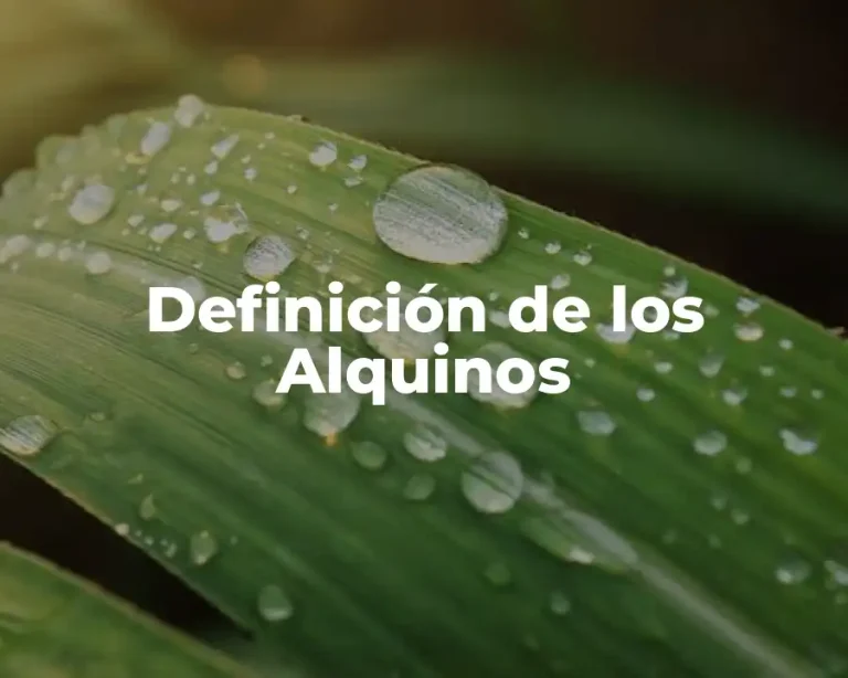 Definición de los Alquinos