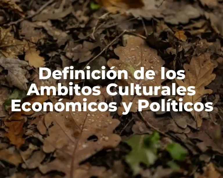Definición de los Ambitos Culturales Económicos y Políticos