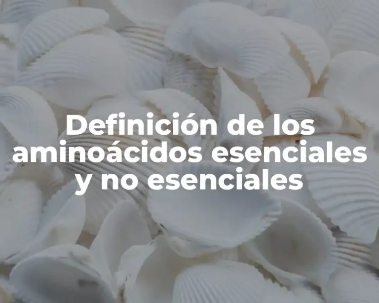 Definición de los aminoácidos esenciales y no esenciales