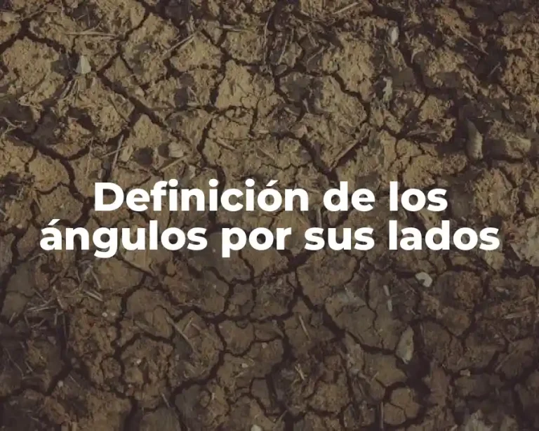 Definición de los ángulos por sus lados