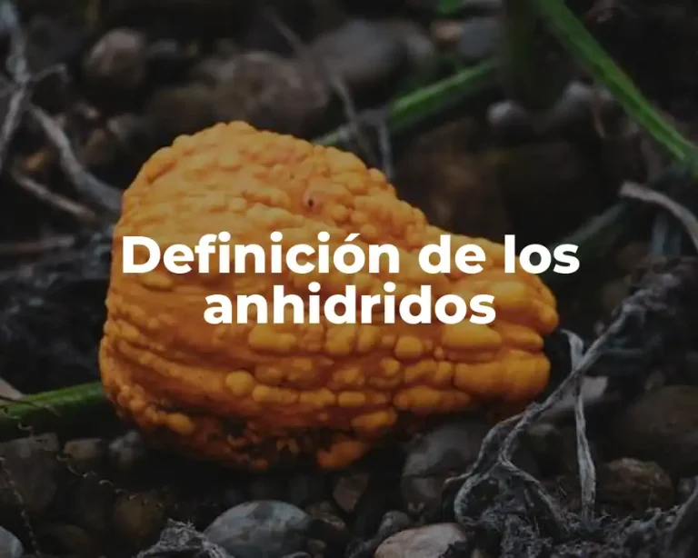 Definición de los anhidridos