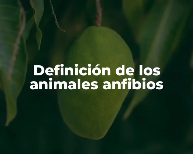 Definición de los animales anfibios