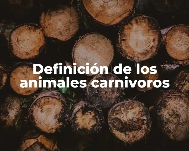 Definición de los animales carnivoros