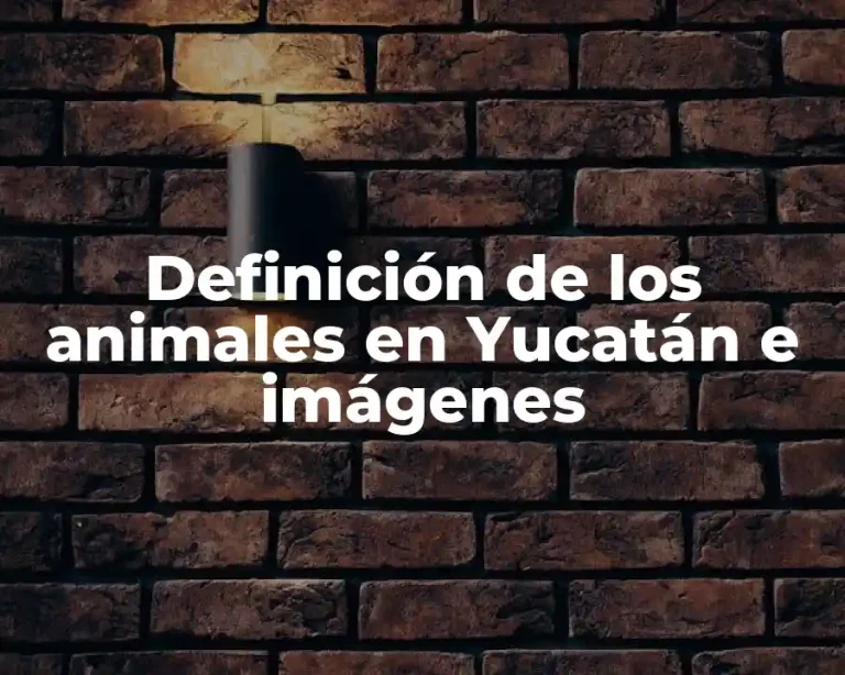 Definición de los animales en Yucatán e imágenes