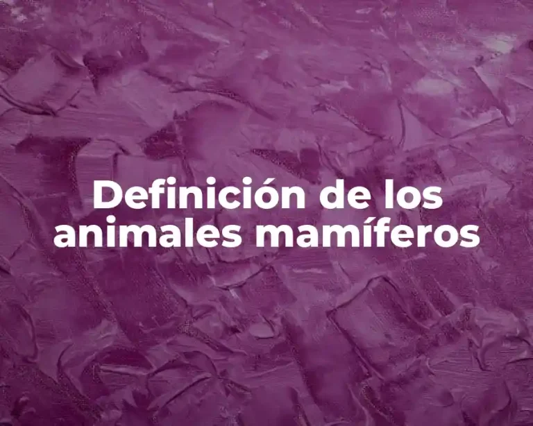 Definición de los animales mamíferos