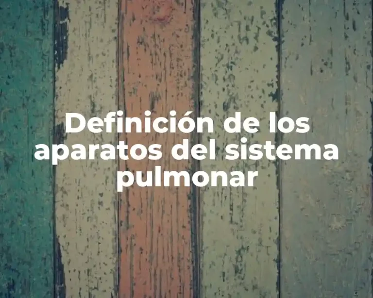 Definición de los aparatos del sistema pulmonar