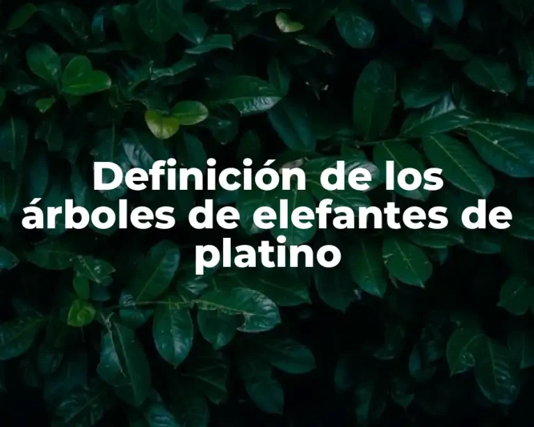 Definición de los árboles de elefantes de platino