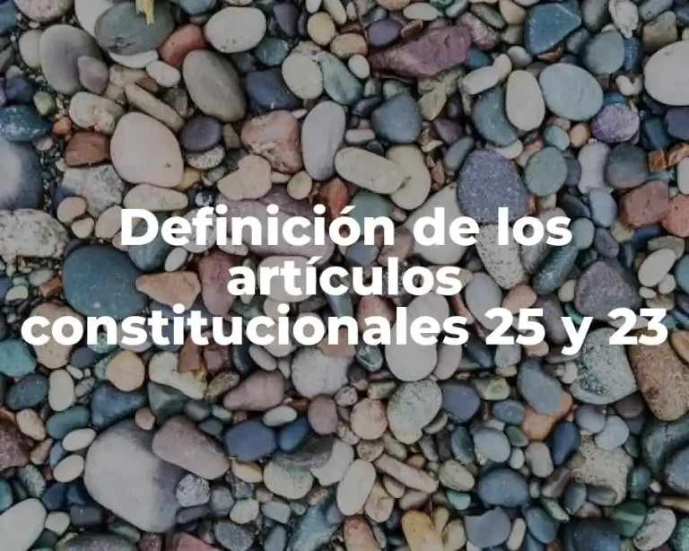 Definición de los artículos constitucionales 25 y 23