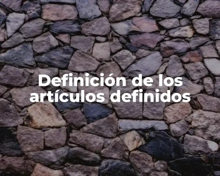 Definición de los artículos definidos