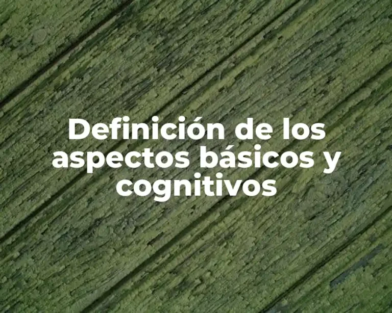 Definición de los aspectos básicos y cognitivos