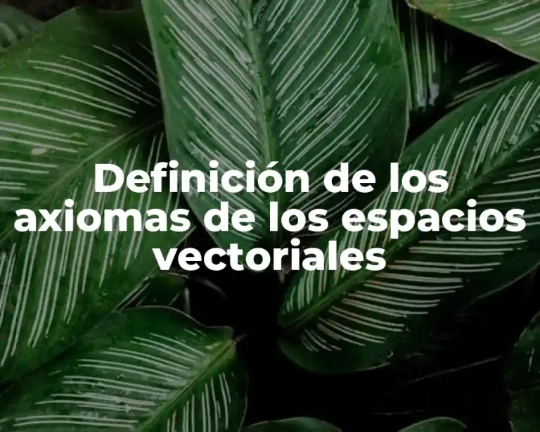 Definición de los axiomas de los espacios vectoriales
