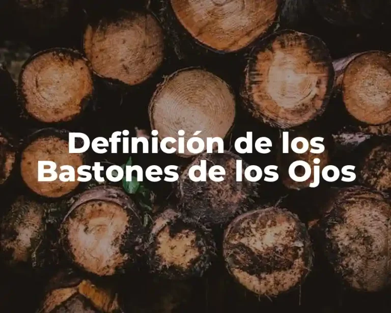Definición de los Bastones de los Ojos