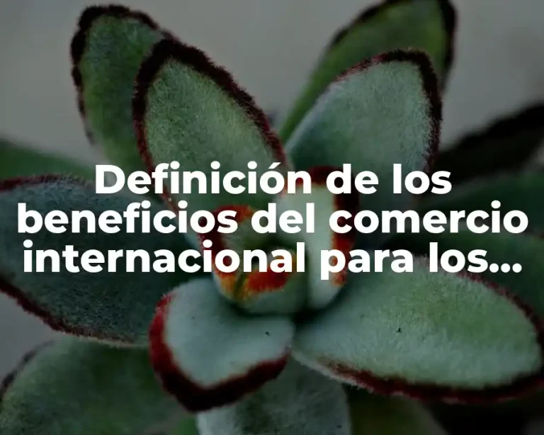 Definición de los beneficios del comercio internacional para los consumidores