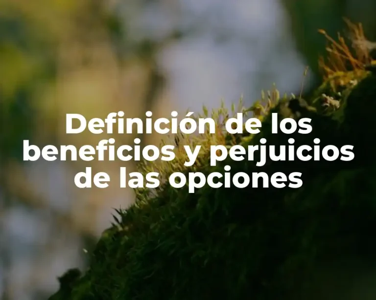 Definición de los beneficios y perjuicios de las opciones