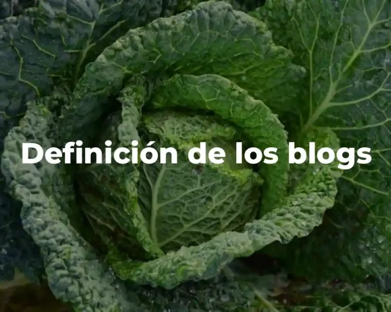 Definición de los blogs