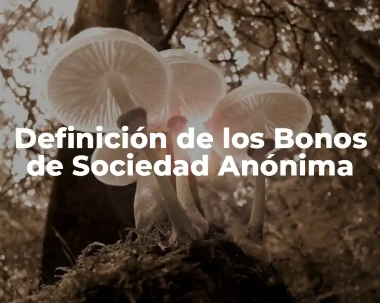 Definición de los Bonos de Sociedad Anónima