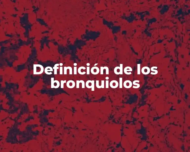 Definición de los bronquiolos