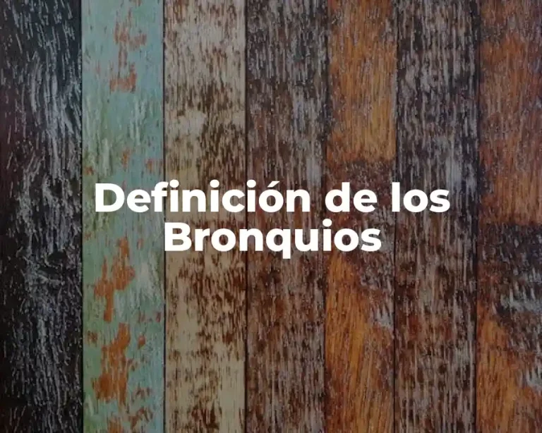 Definición de los Bronquios