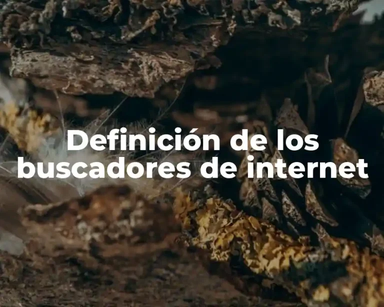 Definición de los buscadores de internet