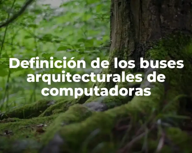 Definición de los buses arquitecturales de computadoras