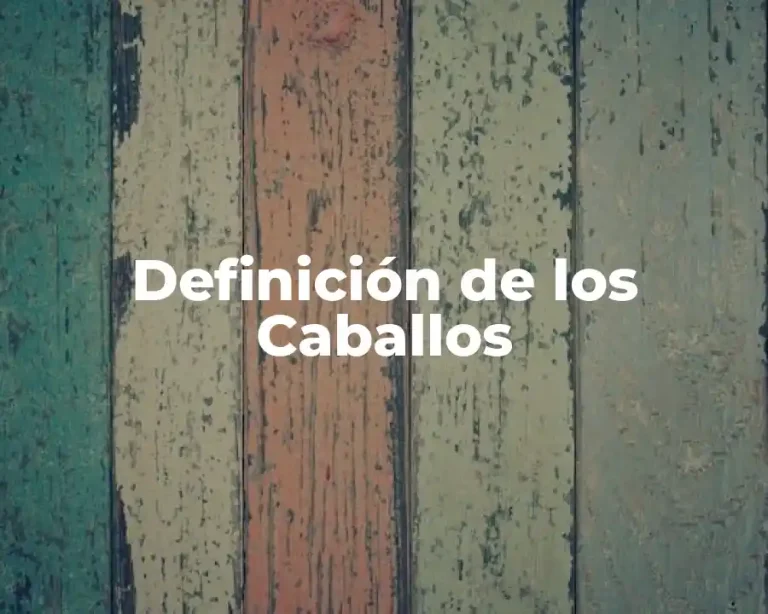 Definición de los Caballos