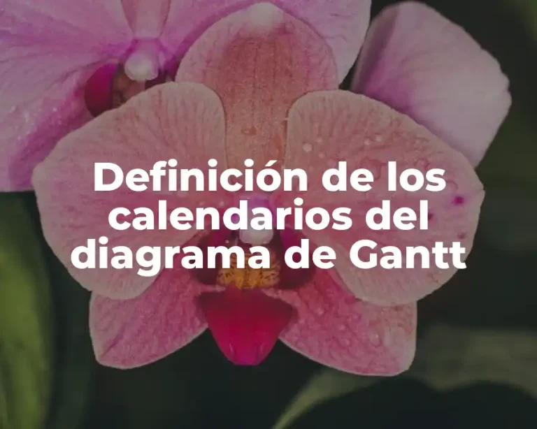 Definición de los calendarios del diagrama de Gantt