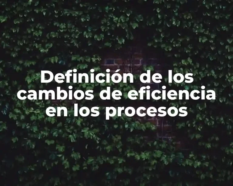 Definición de los cambios de eficiencia en los procesos