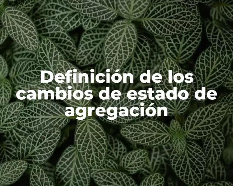 Definición de los cambios de estado de agregación