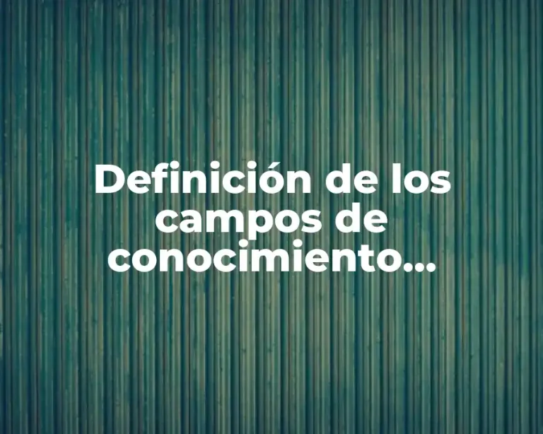 Definición de los campos de conocimiento educación Prezi