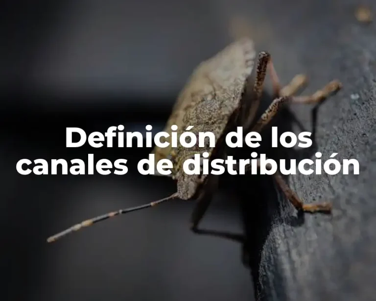 Definición de los canales de distribución