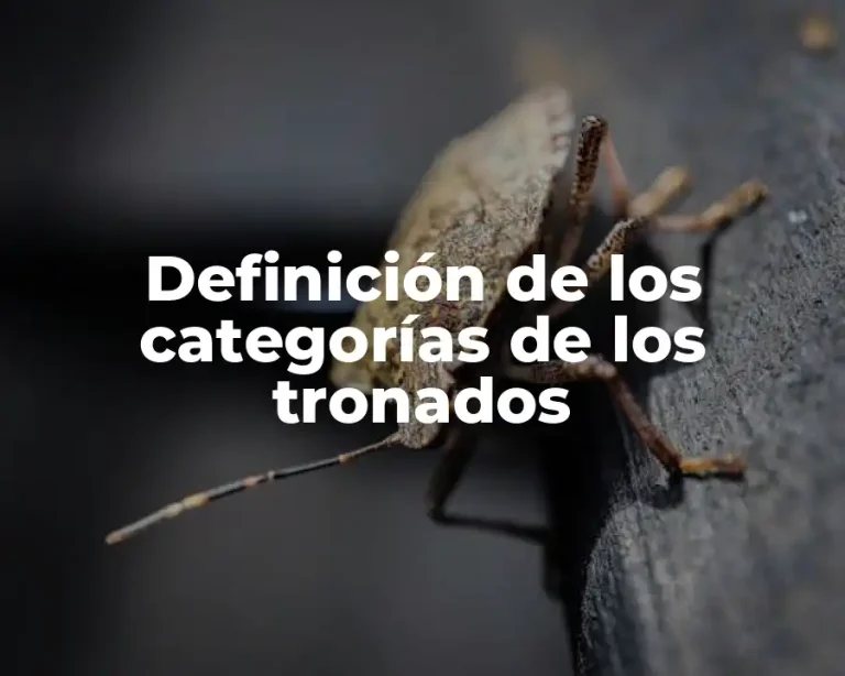 Definición de los categorías de los tronados