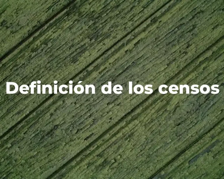 Definición de los censos
