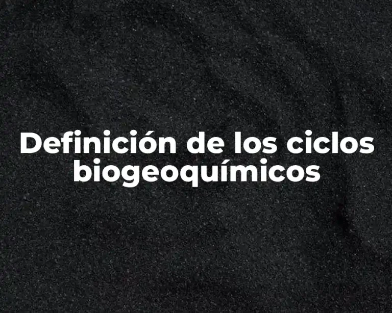Definición de los ciclos biogeoquímicos