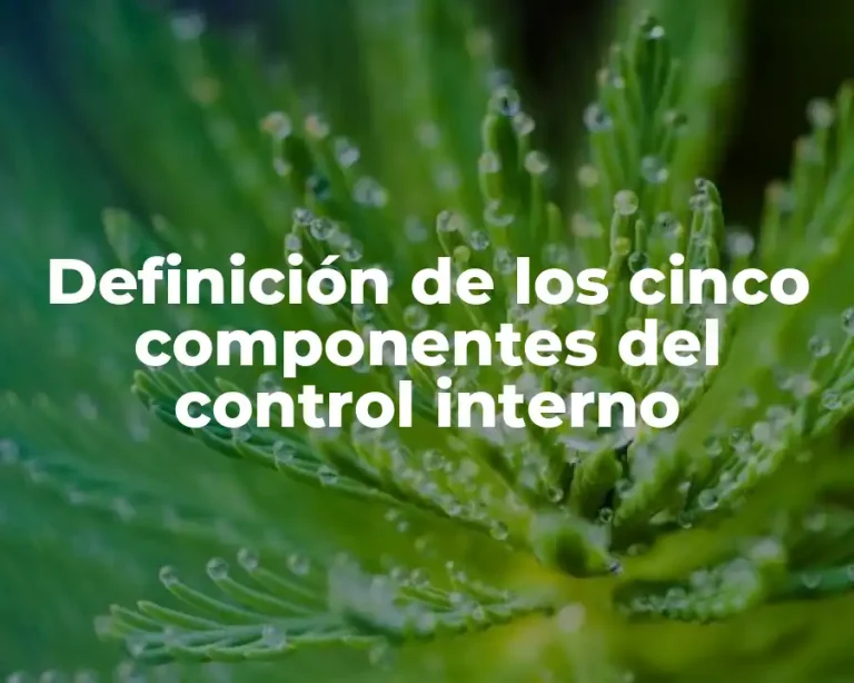 Definición de los cinco componentes del control interno