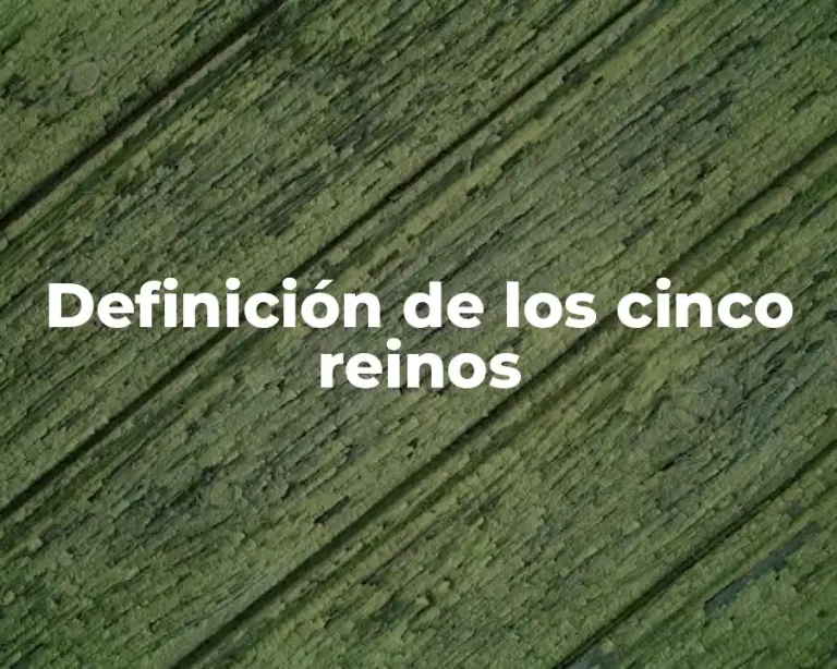 Definición de los cinco reinos