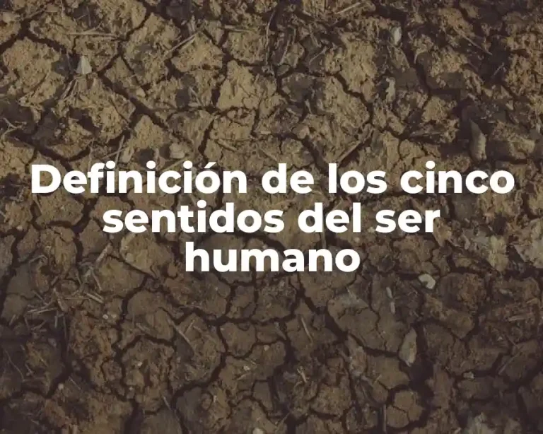 Definición de los cinco sentidos del ser humano