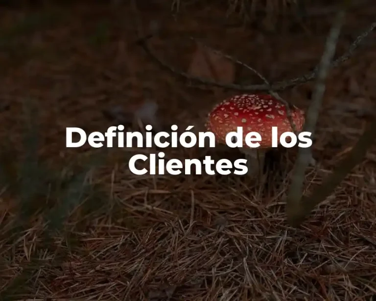 Definición de los Clientes